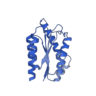 11631_7a4f_LJ_v1-2
Aquifex aeolicus lumazine synthase-derived nucleocapsid variant NC-1 (120-mer)