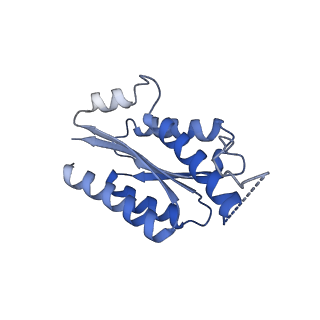 11632_7a4g_AA_v1-2
Aquifex aeolicus lumazine synthase-derived nucleocapsid variant NC-1 (180-mer)
