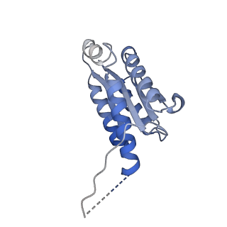 11632_7a4g_AB_v1-2
Aquifex aeolicus lumazine synthase-derived nucleocapsid variant NC-1 (180-mer)