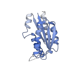 11632_7a4g_AC_v1-2
Aquifex aeolicus lumazine synthase-derived nucleocapsid variant NC-1 (180-mer)