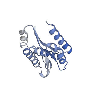 11632_7a4g_AD_v1-2
Aquifex aeolicus lumazine synthase-derived nucleocapsid variant NC-1 (180-mer)