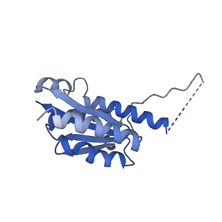 11632_7a4g_AE_v1-2
Aquifex aeolicus lumazine synthase-derived nucleocapsid variant NC-1 (180-mer)