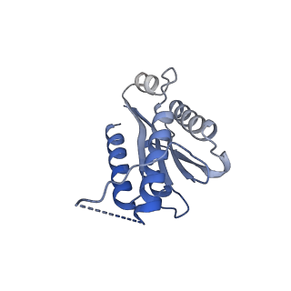 11632_7a4g_AF_v1-2
Aquifex aeolicus lumazine synthase-derived nucleocapsid variant NC-1 (180-mer)