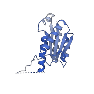 11632_7a4g_AG_v1-2
Aquifex aeolicus lumazine synthase-derived nucleocapsid variant NC-1 (180-mer)