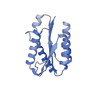 11632_7a4g_AH_v1-2
Aquifex aeolicus lumazine synthase-derived nucleocapsid variant NC-1 (180-mer)