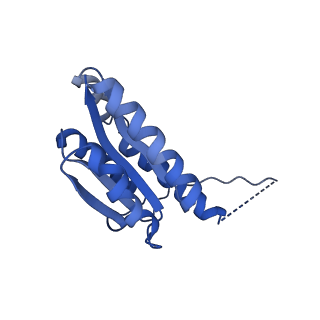 11632_7a4g_AI_v1-2
Aquifex aeolicus lumazine synthase-derived nucleocapsid variant NC-1 (180-mer)