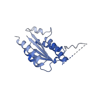 11632_7a4g_AJ_v1-2
Aquifex aeolicus lumazine synthase-derived nucleocapsid variant NC-1 (180-mer)