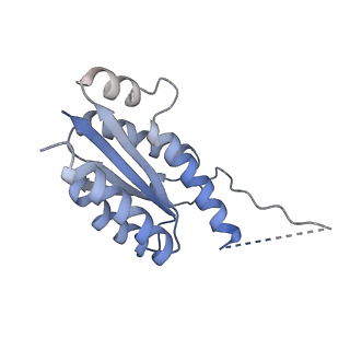 11632_7a4g_AK_v1-2
Aquifex aeolicus lumazine synthase-derived nucleocapsid variant NC-1 (180-mer)