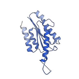 11632_7a4g_AL_v1-2
Aquifex aeolicus lumazine synthase-derived nucleocapsid variant NC-1 (180-mer)