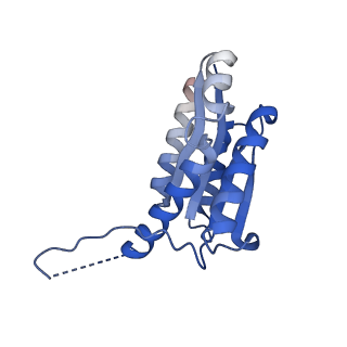 11632_7a4g_AM_v1-2
Aquifex aeolicus lumazine synthase-derived nucleocapsid variant NC-1 (180-mer)