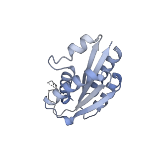 11632_7a4g_AN_v1-2
Aquifex aeolicus lumazine synthase-derived nucleocapsid variant NC-1 (180-mer)