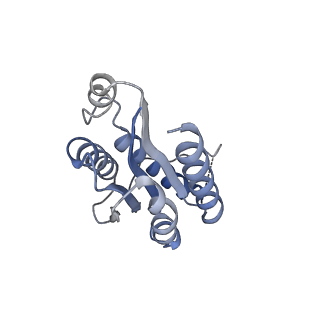 11632_7a4g_AO_v1-2
Aquifex aeolicus lumazine synthase-derived nucleocapsid variant NC-1 (180-mer)