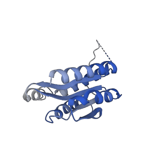 11632_7a4g_BA_v1-2
Aquifex aeolicus lumazine synthase-derived nucleocapsid variant NC-1 (180-mer)