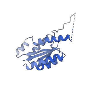 11632_7a4g_BB_v1-2
Aquifex aeolicus lumazine synthase-derived nucleocapsid variant NC-1 (180-mer)