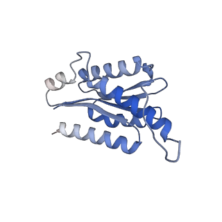 11632_7a4g_BC_v1-2
Aquifex aeolicus lumazine synthase-derived nucleocapsid variant NC-1 (180-mer)