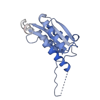 11632_7a4g_BD_v1-2
Aquifex aeolicus lumazine synthase-derived nucleocapsid variant NC-1 (180-mer)