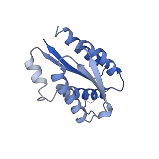 11632_7a4g_BE_v1-2
Aquifex aeolicus lumazine synthase-derived nucleocapsid variant NC-1 (180-mer)
