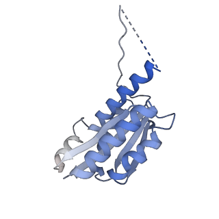 11632_7a4g_BF_v1-2
Aquifex aeolicus lumazine synthase-derived nucleocapsid variant NC-1 (180-mer)