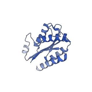 11632_7a4g_BG_v1-2
Aquifex aeolicus lumazine synthase-derived nucleocapsid variant NC-1 (180-mer)