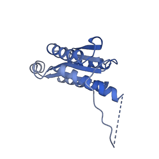 11632_7a4g_BH_v1-2
Aquifex aeolicus lumazine synthase-derived nucleocapsid variant NC-1 (180-mer)