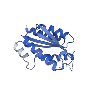 11632_7a4g_BI_v1-2
Aquifex aeolicus lumazine synthase-derived nucleocapsid variant NC-1 (180-mer)
