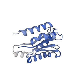 11632_7a4g_BJ_v1-2
Aquifex aeolicus lumazine synthase-derived nucleocapsid variant NC-1 (180-mer)