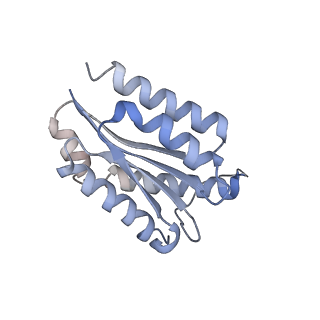 11632_7a4g_BK_v1-2
Aquifex aeolicus lumazine synthase-derived nucleocapsid variant NC-1 (180-mer)
