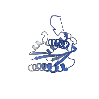 11632_7a4g_BM_v1-2
Aquifex aeolicus lumazine synthase-derived nucleocapsid variant NC-1 (180-mer)