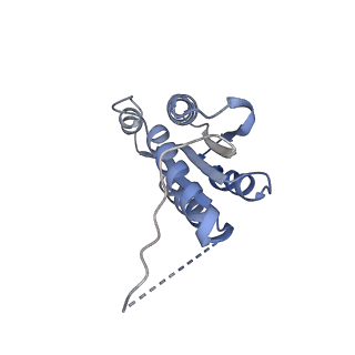 11632_7a4g_BN_v1-2
Aquifex aeolicus lumazine synthase-derived nucleocapsid variant NC-1 (180-mer)