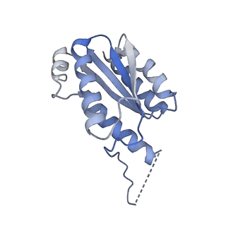 11632_7a4g_BO_v1-2
Aquifex aeolicus lumazine synthase-derived nucleocapsid variant NC-1 (180-mer)