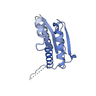 11632_7a4g_CA_v1-2
Aquifex aeolicus lumazine synthase-derived nucleocapsid variant NC-1 (180-mer)