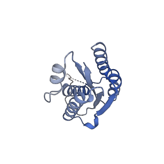 11632_7a4g_CB_v1-2
Aquifex aeolicus lumazine synthase-derived nucleocapsid variant NC-1 (180-mer)