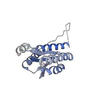 11632_7a4g_CC_v1-2
Aquifex aeolicus lumazine synthase-derived nucleocapsid variant NC-1 (180-mer)