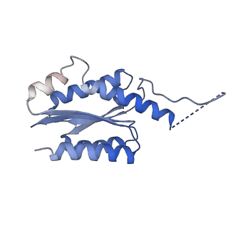 11632_7a4g_CD_v1-2
Aquifex aeolicus lumazine synthase-derived nucleocapsid variant NC-1 (180-mer)