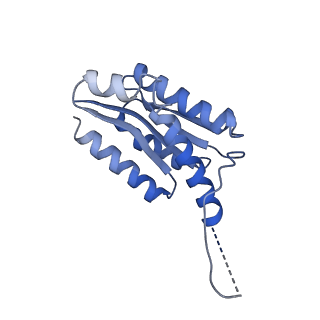 11632_7a4g_CE_v1-2
Aquifex aeolicus lumazine synthase-derived nucleocapsid variant NC-1 (180-mer)