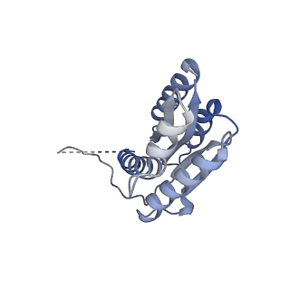 11632_7a4g_CF_v1-2
Aquifex aeolicus lumazine synthase-derived nucleocapsid variant NC-1 (180-mer)