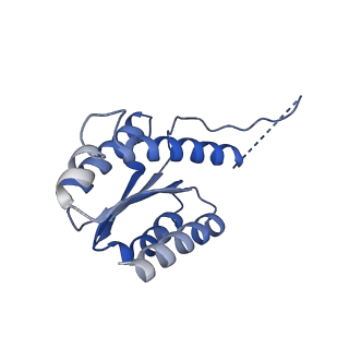 11632_7a4g_CH_v1-2
Aquifex aeolicus lumazine synthase-derived nucleocapsid variant NC-1 (180-mer)