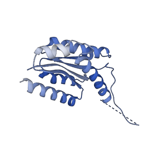 11632_7a4g_CI_v1-2
Aquifex aeolicus lumazine synthase-derived nucleocapsid variant NC-1 (180-mer)