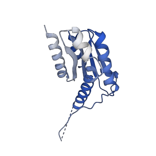 11632_7a4g_CJ_v1-2
Aquifex aeolicus lumazine synthase-derived nucleocapsid variant NC-1 (180-mer)