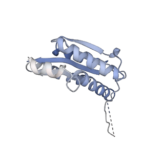 11632_7a4g_CK_v1-2
Aquifex aeolicus lumazine synthase-derived nucleocapsid variant NC-1 (180-mer)