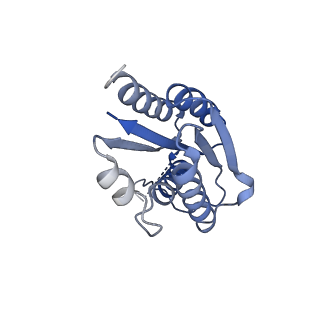 11632_7a4g_CL_v1-2
Aquifex aeolicus lumazine synthase-derived nucleocapsid variant NC-1 (180-mer)