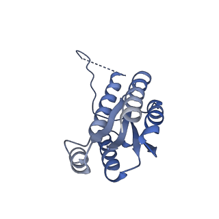 11632_7a4g_CM_v1-2
Aquifex aeolicus lumazine synthase-derived nucleocapsid variant NC-1 (180-mer)