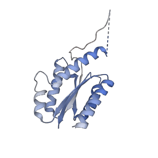 11632_7a4g_CN_v1-2
Aquifex aeolicus lumazine synthase-derived nucleocapsid variant NC-1 (180-mer)