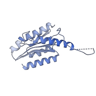 11632_7a4g_CO_v1-2
Aquifex aeolicus lumazine synthase-derived nucleocapsid variant NC-1 (180-mer)