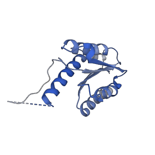 11632_7a4g_DA_v1-2
Aquifex aeolicus lumazine synthase-derived nucleocapsid variant NC-1 (180-mer)