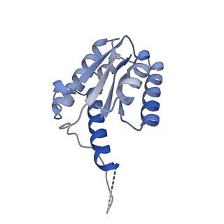 11632_7a4g_DB_v1-2
Aquifex aeolicus lumazine synthase-derived nucleocapsid variant NC-1 (180-mer)