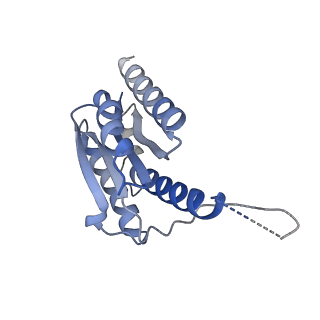 11632_7a4g_DC_v1-2
Aquifex aeolicus lumazine synthase-derived nucleocapsid variant NC-1 (180-mer)