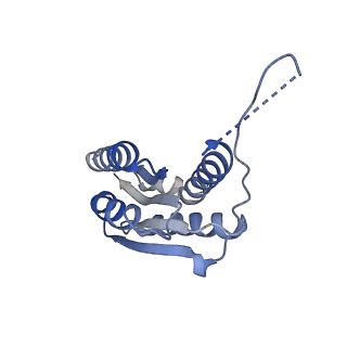 11632_7a4g_DD_v1-2
Aquifex aeolicus lumazine synthase-derived nucleocapsid variant NC-1 (180-mer)