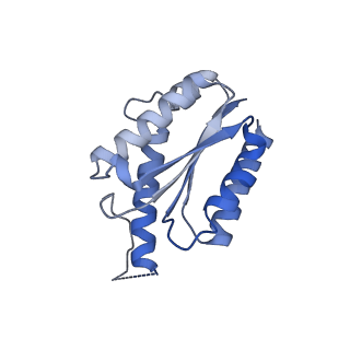 11632_7a4g_DF_v1-2
Aquifex aeolicus lumazine synthase-derived nucleocapsid variant NC-1 (180-mer)