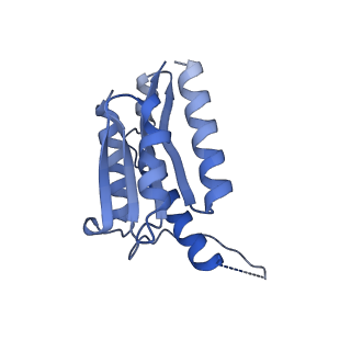 11632_7a4g_DG_v1-2
Aquifex aeolicus lumazine synthase-derived nucleocapsid variant NC-1 (180-mer)
